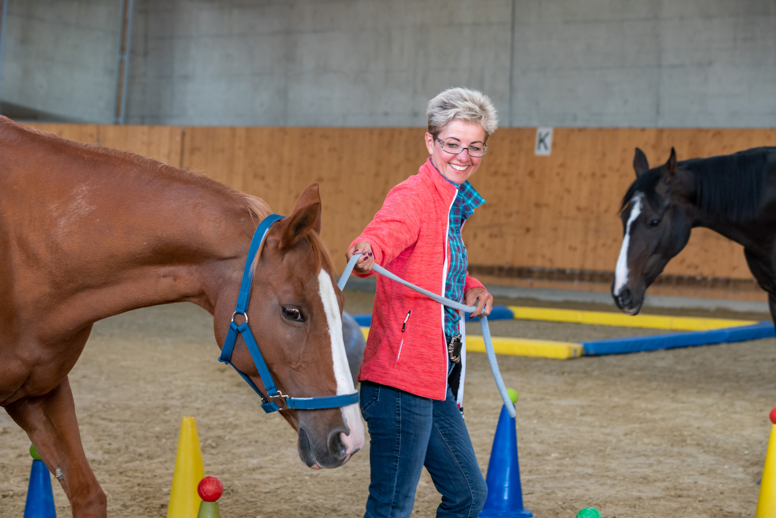 Michele Cueni working with a horse during an equine learning activity